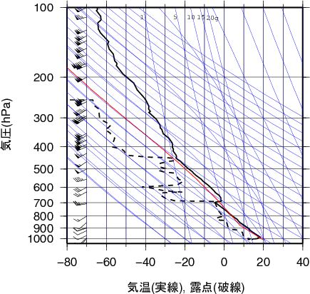 エマグラム画像