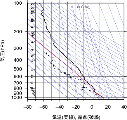 エマグラム画像