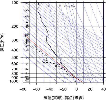 エマグラム画像