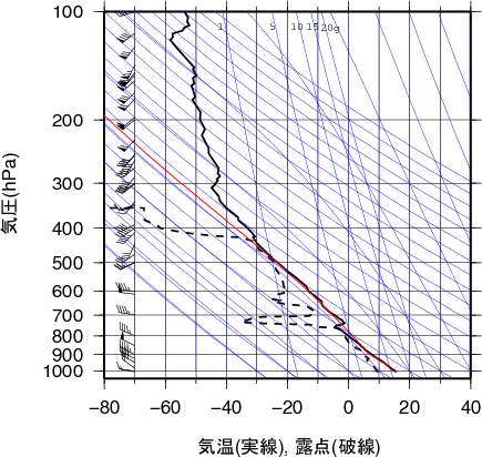 エマグラム画像