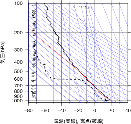 エマグラム画像