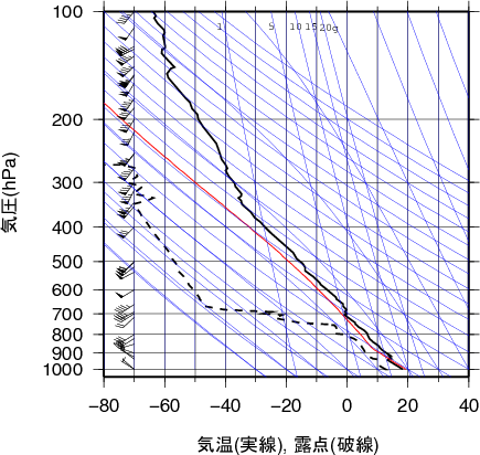 エマグラム画像