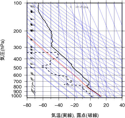 エマグラム画像