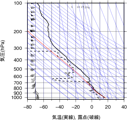 エマグラム画像