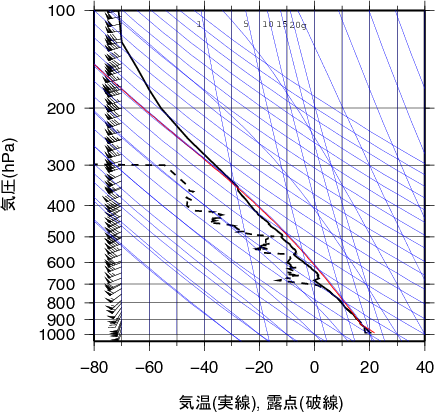 エマグラム画像