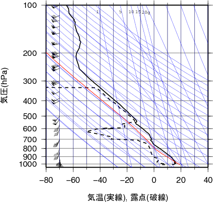 エマグラム画像