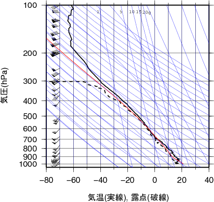 エマグラム画像