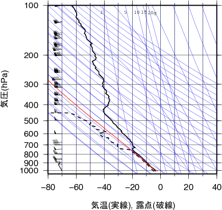 エマグラム画像