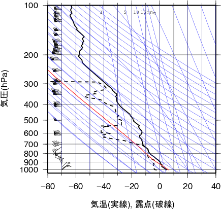 エマグラム画像