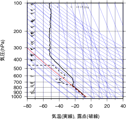 エマグラム画像