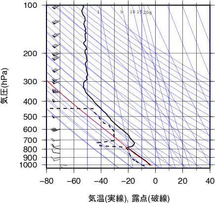 エマグラム画像