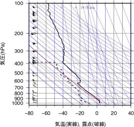 エマグラム画像