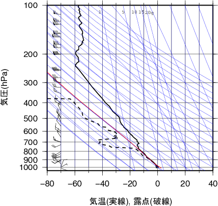 エマグラム画像