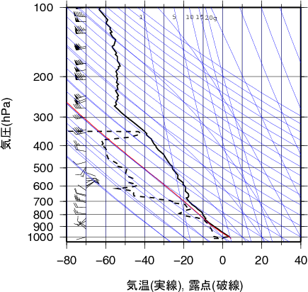 エマグラム画像