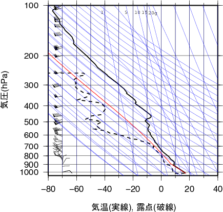 エマグラム画像