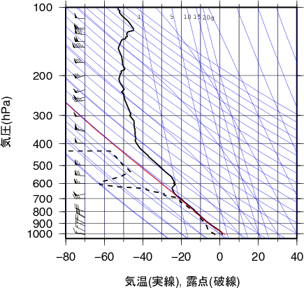 エマグラム画像