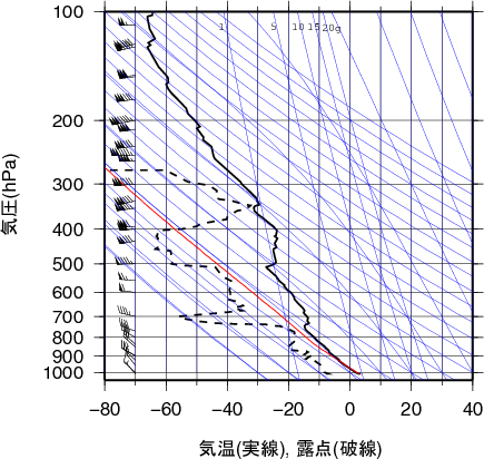 エマグラム画像