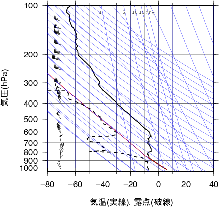 エマグラム画像