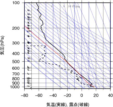 エマグラム画像
