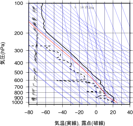 エマグラム画像
