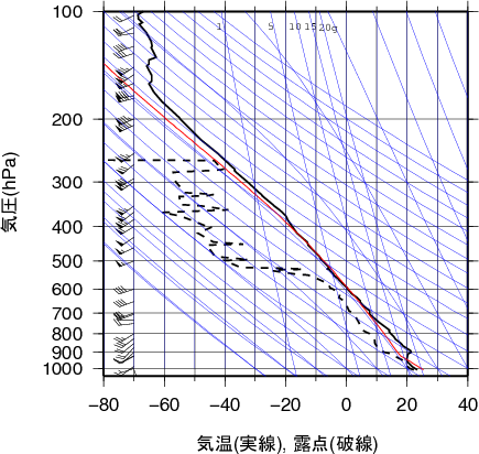 エマグラム画像