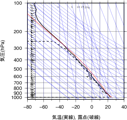 エマグラム画像