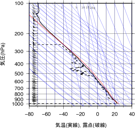 エマグラム画像