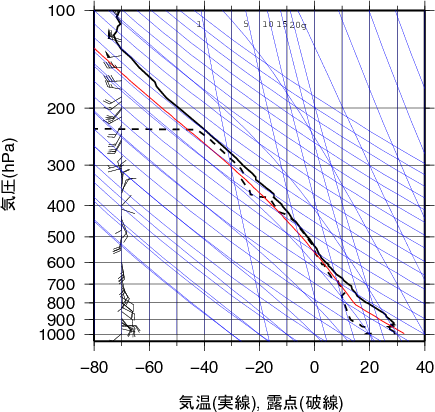 エマグラム画像