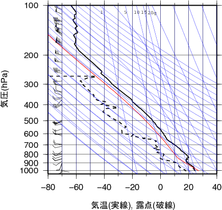 エマグラム画像