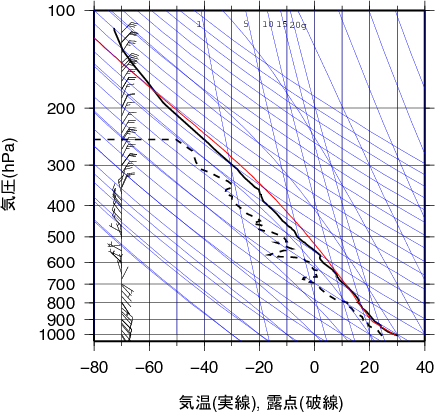 エマグラム画像