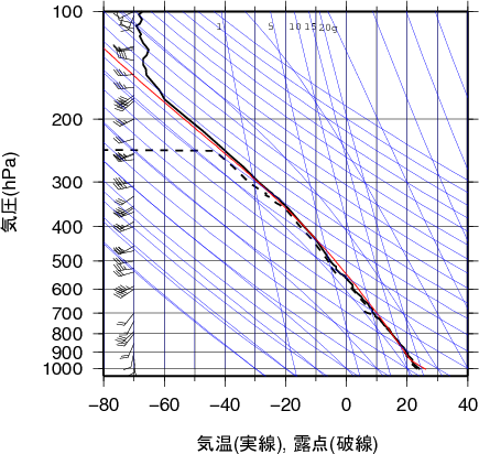 エマグラム画像