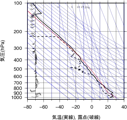 エマグラム画像