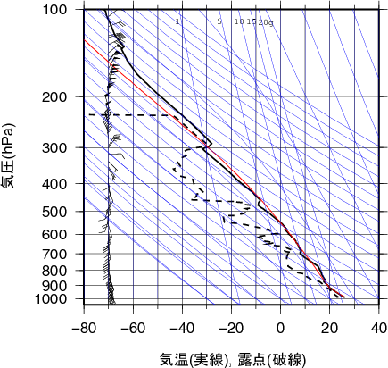 エマグラム画像