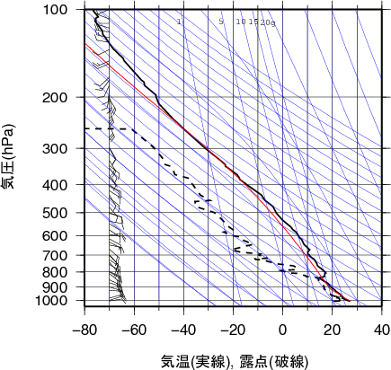 エマグラム画像