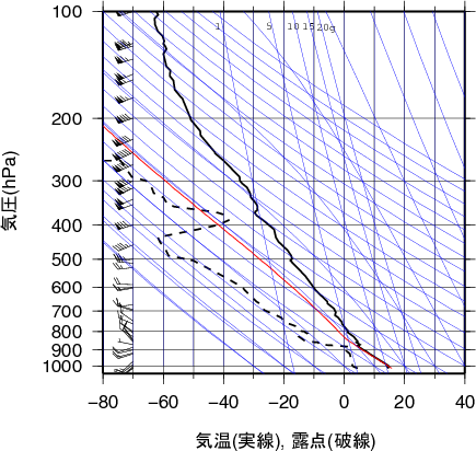 エマグラム画像