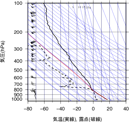 エマグラム画像