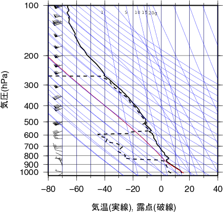 エマグラム画像