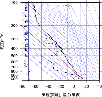 エマグラム画像