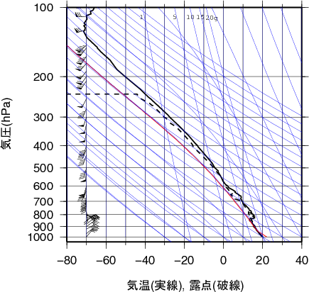 エマグラム画像