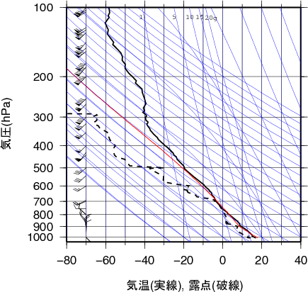 エマグラム画像