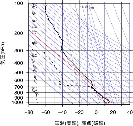 エマグラム画像