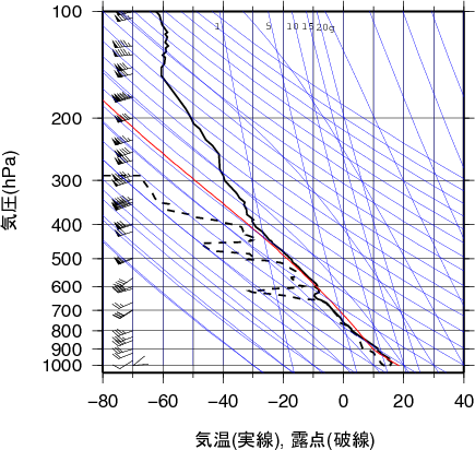 エマグラム画像