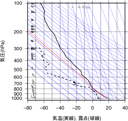 エマグラム画像