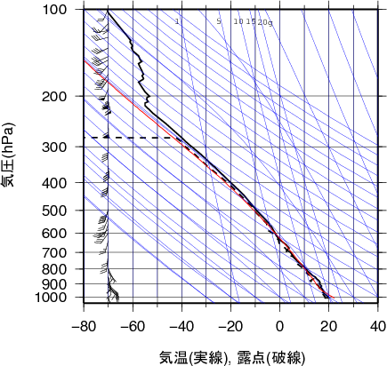 エマグラム画像