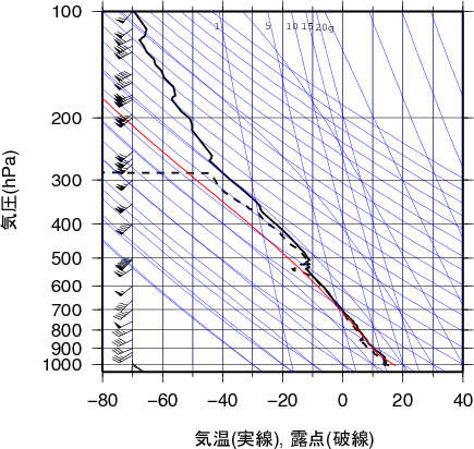 エマグラム画像