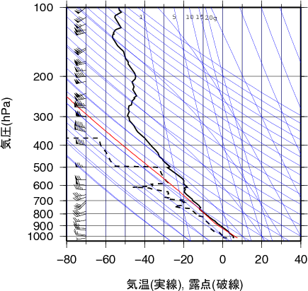 エマグラム画像