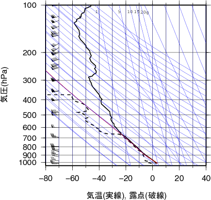 エマグラム画像