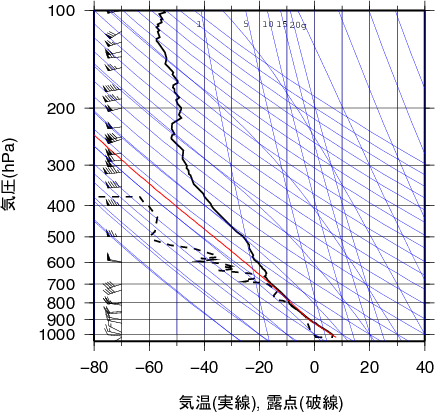 エマグラム画像