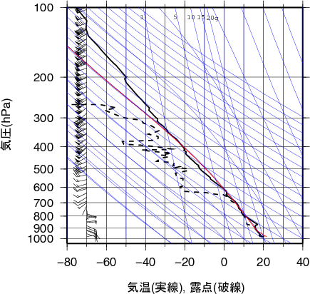 エマグラム画像