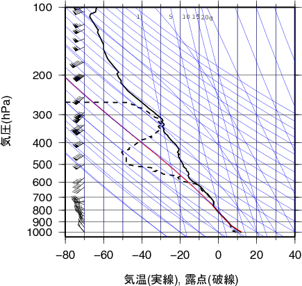 エマグラム画像